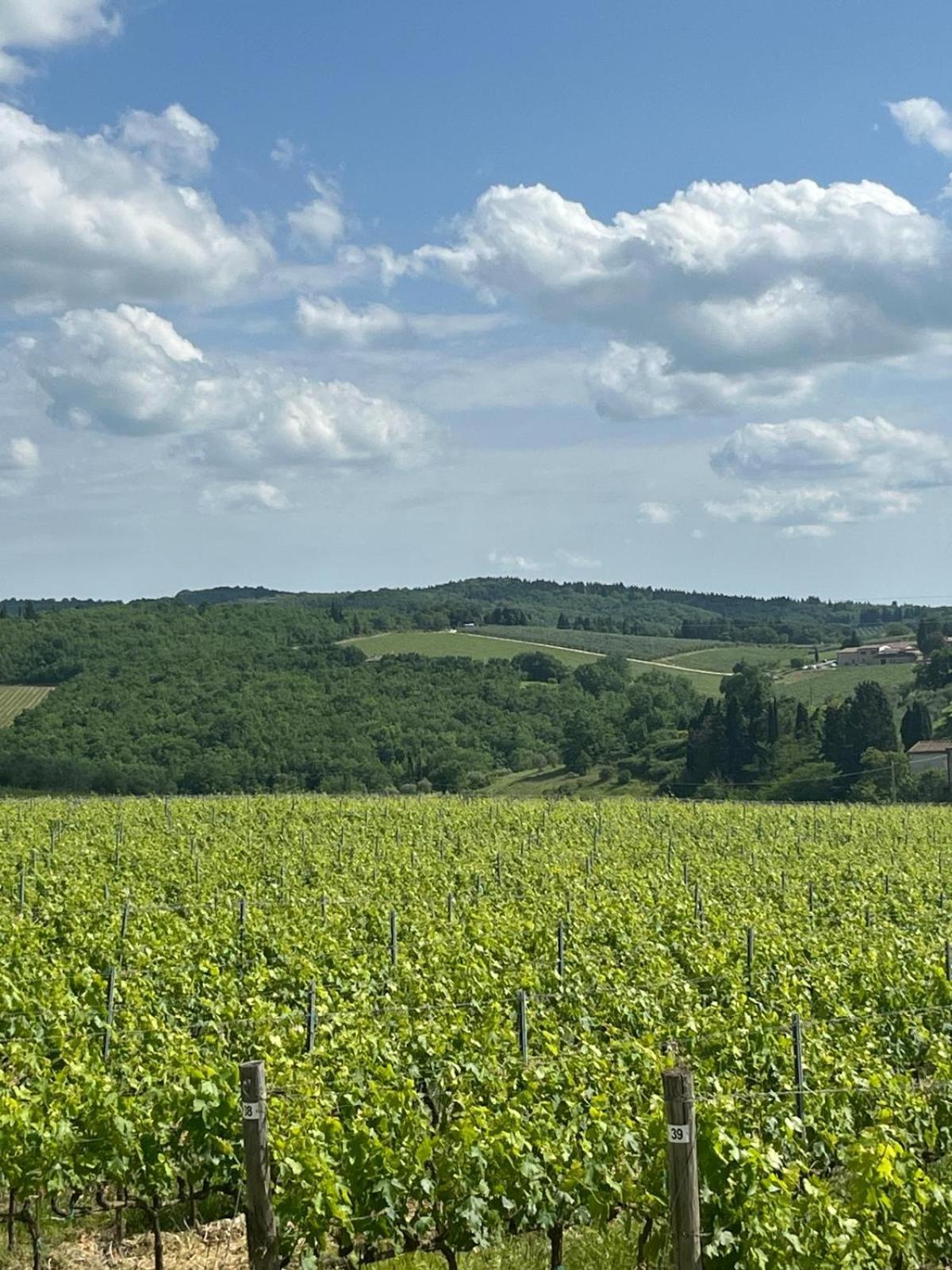 Casa Galletti San Donato in Poggio Eksteriør billede